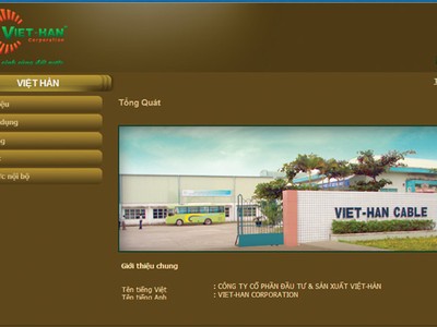 VHG: lãi lớn sao cạn tiền trả cổ tức?